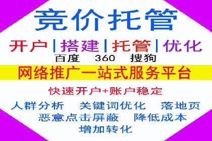 专业SEM代运营托管公司案例分析